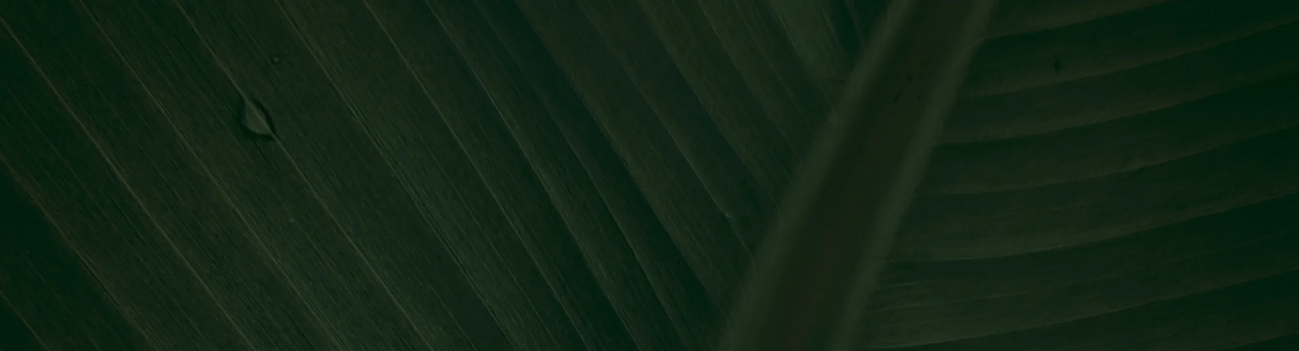 hero-image_optimized KESTANE BALI 850 GR