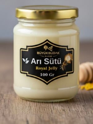 IMG_20260213_145849 ARI SÜTÜ 100 GR